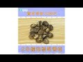點秘訣 2分鐘極速泡發乾香菇 點秘訣 2分鐘極速泡發乾香菇