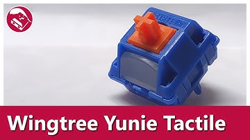 New manufacturer on the block!³ | Wingtree Yunie Tactile switch sound test and review