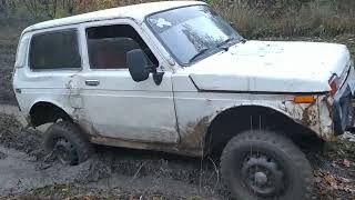 видео: Сравнение грязевой резины на Ниву, тестирует К-139 и ВЛИ-5. Что едет лучше картинка: Сравнение грязевой резины на Ниву, тестирует К-139 и ВЛИ-5. Что едет лучше