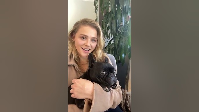 Chloe grace Moretz (@chloe.grace.moret63)'s videos with Sunrise