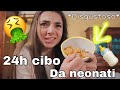 Mangio per 24h solo cibo per neonati 🍼 🤢 *disgustoso*