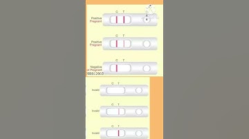 pregnant test positive & Negative #shorts #youtubeshorts #🧍‍♀️, 🏥,🤰#pregnencykitresults