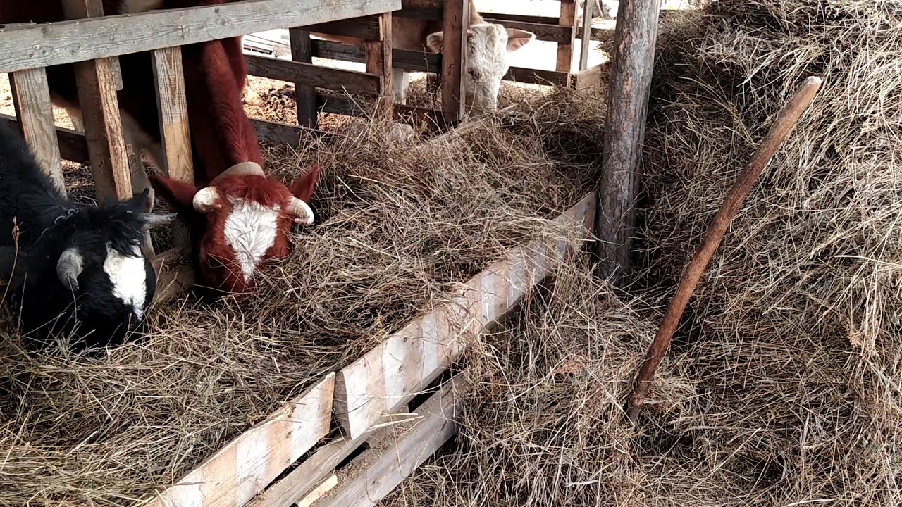 Продажа подсобных хозяйств