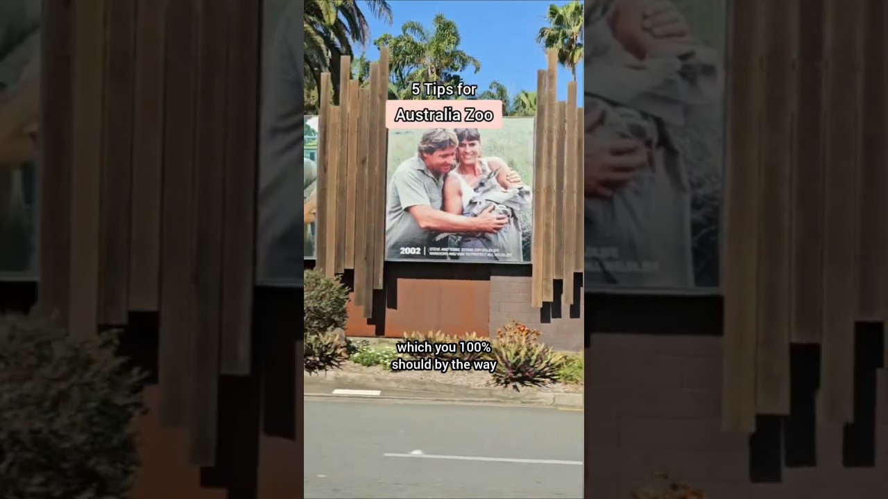 Tips and tricks to make the most of Australia Zoo | Brisbane, Australia