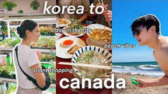 seoul to canada 🇰🇷🇨🇦 halifax local eats, asian market & plant shopping 🌱 nova scotia beach day