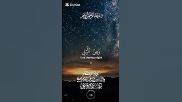 تلاوة خاشعة #قرآن #اكسبلور #tanding #دويتو #trendingvideo #duet #لايك #tik_tok #تيك_توك