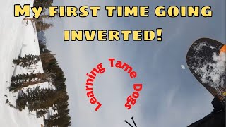 Learning how to Tame Dog #snowboarding (low forward flips) Utah