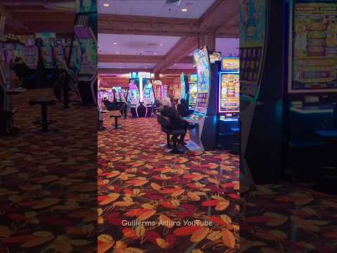 #route66 #neon #hotel #sign #authentic #original #subscribe #car #fun #usa #roadtrip #youtubeshorts