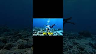 El Primer Perro Buzo Del Mundo Increíble Aventura Submarina Con Su Dueño