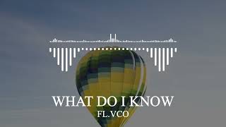 FL.VCO - WHAT DO I KNOW