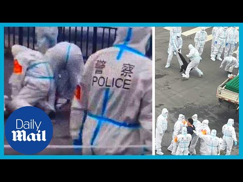 Shanghai lockdown protest: Police appear to tackle Covid quarantine protesters