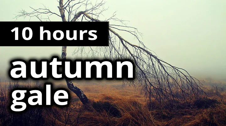 SLEEP SOUNDS: "An Autumn Gale" - 10 HOURS - A fier...