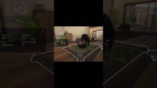 Trophy lodge tour#cotw#fyp#tour#trophylodge