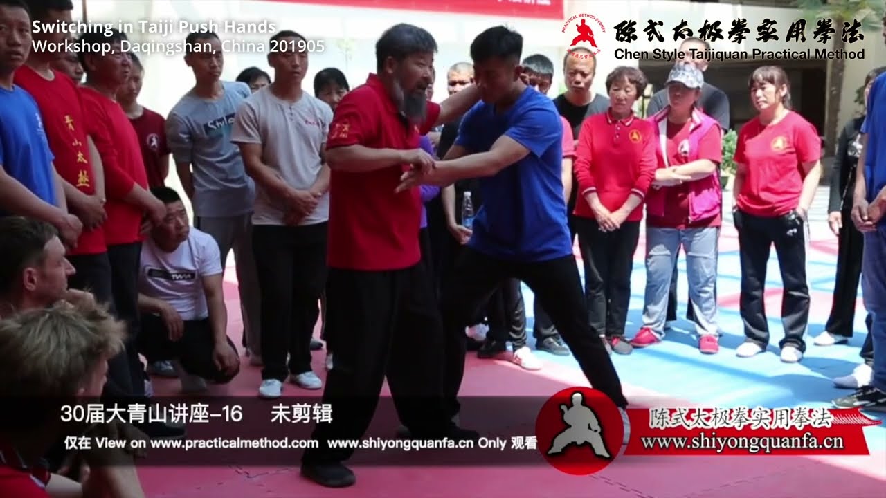 Switching in Taiji Push Hands