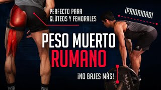 Develop Incredible Glutes And Hammocks With The Romanian Deadlift  Exercise Technique