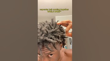 Freeform dreads tips (start & maintain) #shorts #freeformlocs #dreadlocks