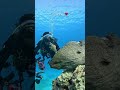 Escape Into the Heart of the Philippines  | visa to travel | #travel #shortvideo