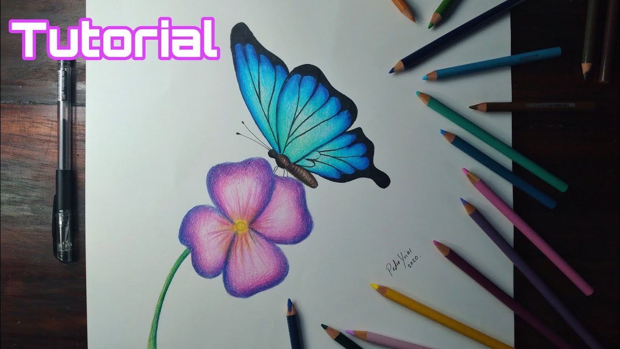 Cómo Dibujar Una Mariposa y una Flor con lápices de color - thptnganamst.edu.vn