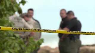 Human remains washed up by Hurricane Nicole found in Martin County