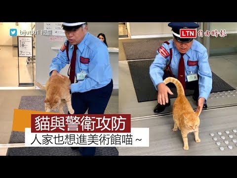 喵星人每天衝美術館「看展」 警衛溫柔苦勸：不能進來啦
