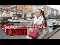 Жизнь в Дании: Сколько стоит алкоголь в Дании. Супермаркет MENY