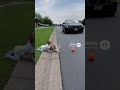 赤ちゃんが飛び出す前に | #shorts #animals #baby