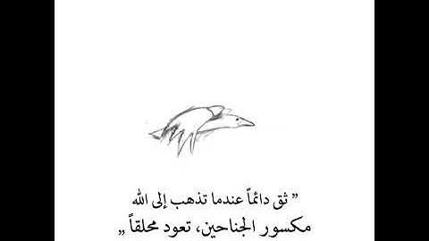 تلاوة مؤثرة || ففروا إلي الله || حالات واتس قرأن || Quran Status 💙