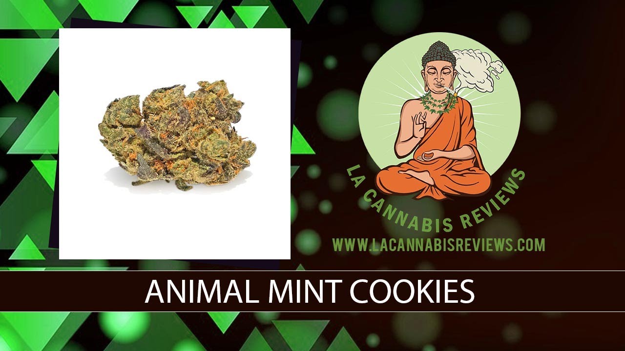 Animal Mint Cookies