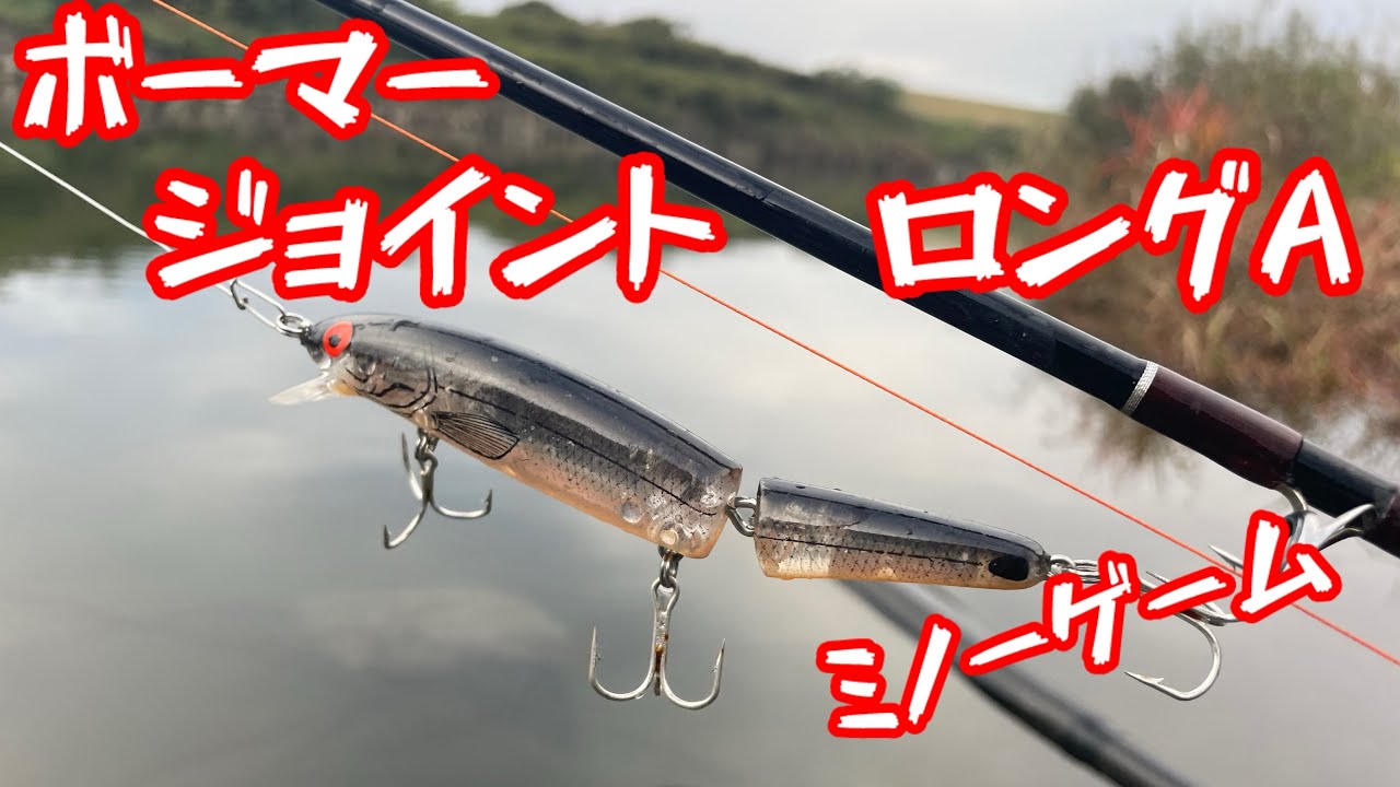 #トップウォーター#カヤックフィッシング#鬼怒川バス釣り #ボーマー#bassfishing #ロングaジョイント#fishing