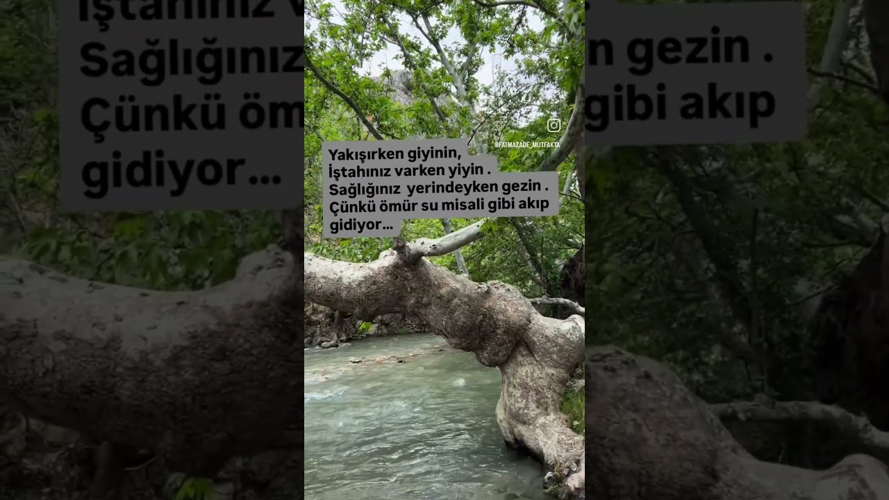 zamanın değerini bilmek 🤷#zaman #doğa #tarif #yemektarifleri #pratiktarifler #fatmazade_mutfakta zamanın değerini bilmek 🤷#zaman #doğa #tarif #yemektarifleri #pratiktarifler #fatmazade_mutfakta