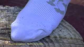 Calcetines adecuados para senderismo