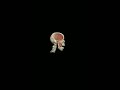 MANDIBLE ELEVATION MUSCLES 3D #SHORTS