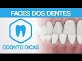 FACES DOS DENTES | ODONTO DICAS