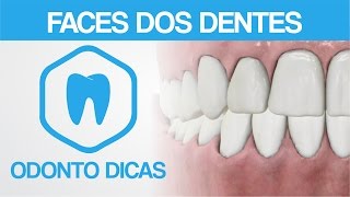 FACES DOS DENTES | ODONTO DICAS