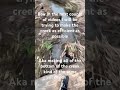 Hey guys loved how this video turned out hope you enjoyed