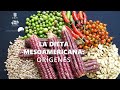 La Dieta Mesoamericana. Orígenes