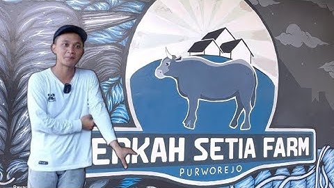 AKHIRNYA MAS HERMAWAN SETIA FARM ON CAME KEMBALI 🔥🔥