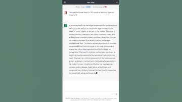 Discussion of the human heart and a visualization