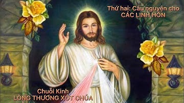 Chuỗi Kinh Lòng Thương Xót Chúa - Thứ hai: Cầu nguyện cho CÁC LINH HỒN
