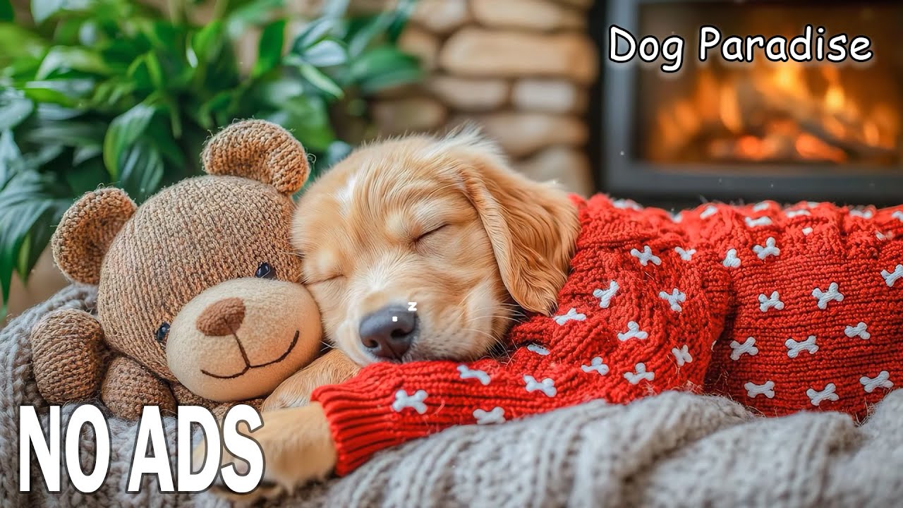 12 часов звуков камина для собак 🔥 Тёплая и расслабляющая атмосфера сна 🏠 Без рекламы