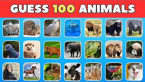 Guess 100 Sea Animals in 3 Seconds 🐊🐬 | Easy, Medium, Hard, Impossible