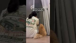 He even listens to my stories.🤣 #cat #furbaby