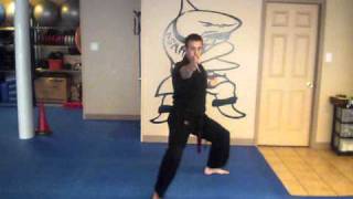 Action Karate HV Universal Perseverance