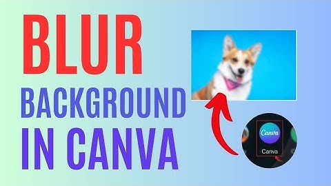 How to Blur Background in Canva 2024?