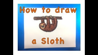 Draw a Cartoon Sloth Step By Step Video Art for Kids - Sloth Of The Day