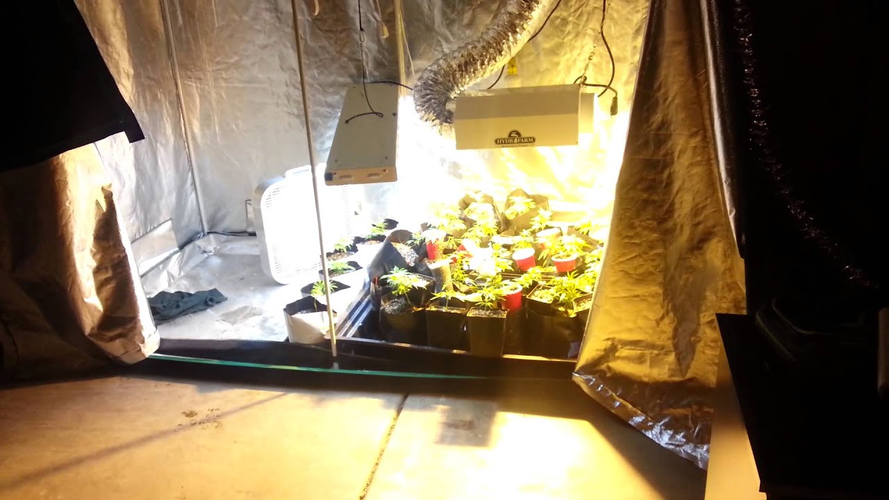 Grow room setup