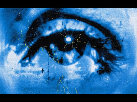 Tio - Tailwind (prod. uin) [Visualizer]