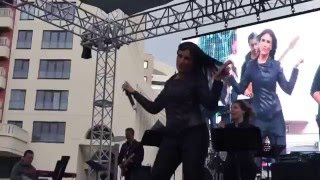 Ayşegül Aldinç - Kara Sevda / (M.a.d)