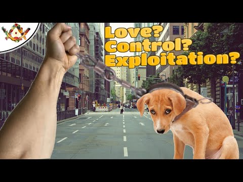 Pet Ownership Difficult Questions We SHOULD Ask Ourselves