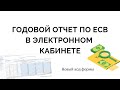 Как подать отчет по ЕСВ за год фоп 3 группа - электронная отчетность ФОП